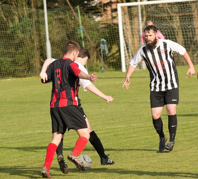 手的球门 手的球门