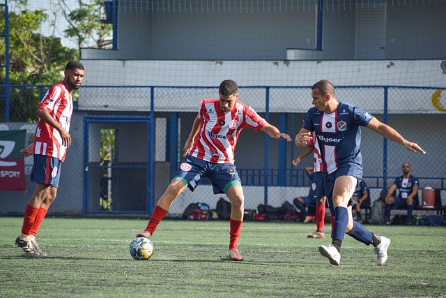 这些规范 这些规范